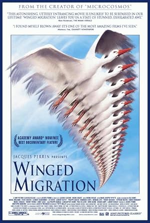The Traveling Birds
